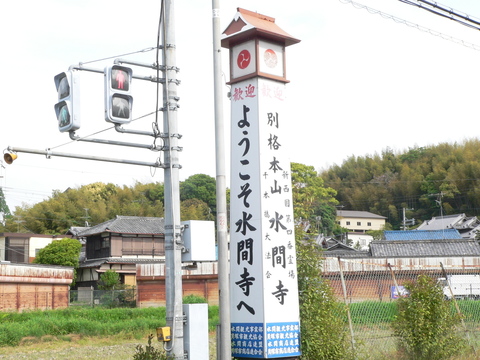P1120641.JPG