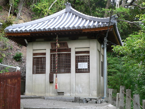 P1120669.JPG