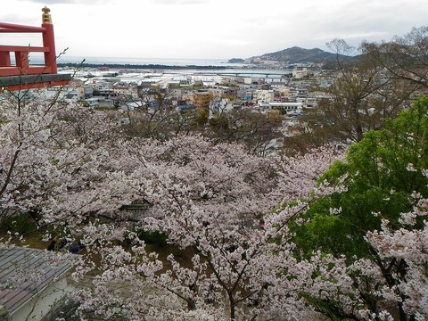 P_20160403_140144.jpg