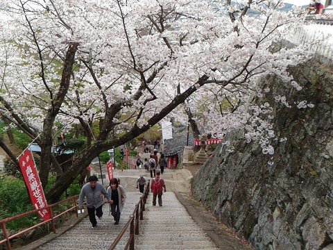 P_20160403_140305.jpg